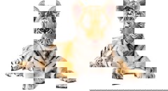 asian  basmati με μπαχαρικά, σταφίδες και κάσιους 200gr - μαγειρική ζαχαροπλαστική / ρύζια